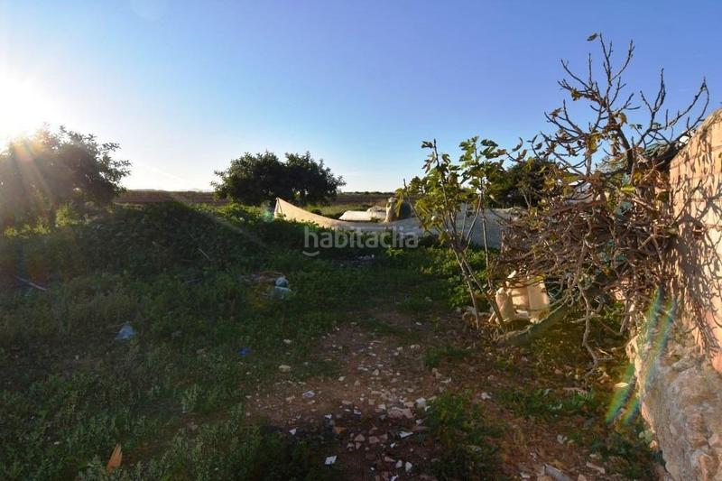 Foto 37779caa-8340-41d6-bfad-f69d8dbee560. Masia amb aparcament a La Pinilla - Las Palas Fuente Álamo de Murcia