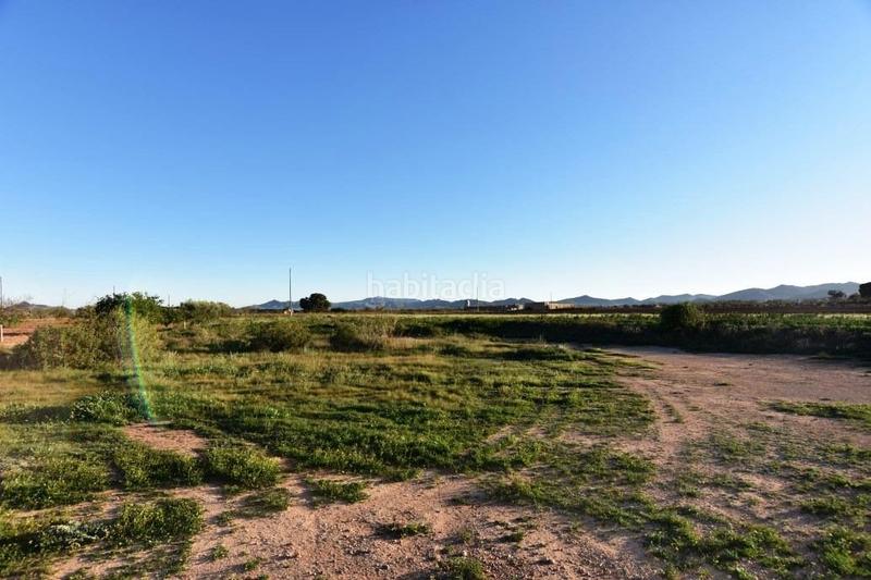 Foto 4c4d41e7-cd5c-4d36-ac19-ceb53c7a773c. Masia amb aparcament a La Pinilla - Las Palas Fuente Álamo de Murcia