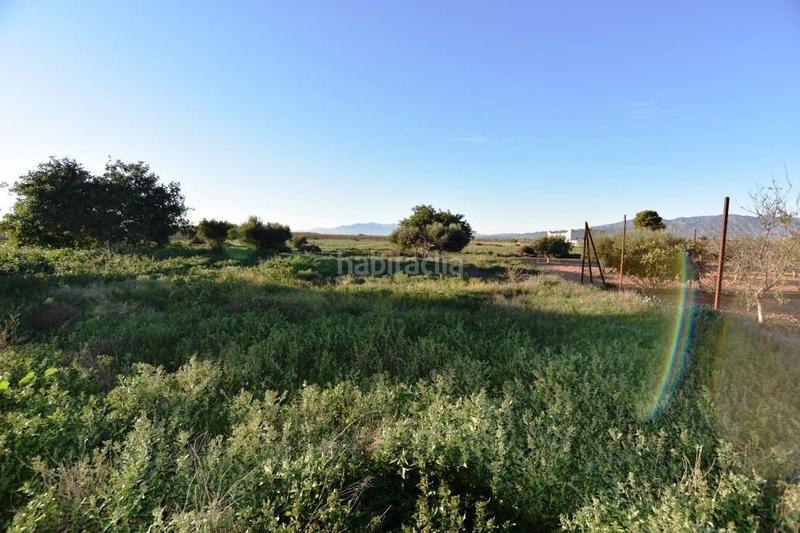 Foto 7bd9c02b-fd73-422a-90ce-1f25079597f1. Masia amb aparcament a La Pinilla - Las Palas Fuente Álamo de Murcia