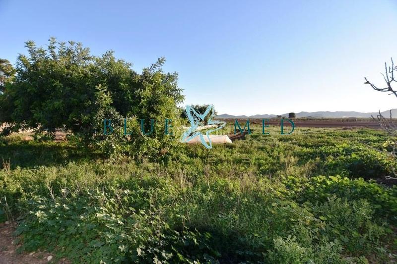 Foto ae6130df-aadd-4252-85b3-c1f5c6f0f4d4. Masia amb aparcament a La Pinilla - Las Palas Fuente Álamo de Murcia