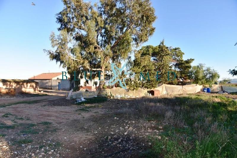 Foto b28fb9a0-92eb-4189-bbc2-1e0ad3f8d283. Masia amb aparcament a La Pinilla - Las Palas Fuente Álamo de Murcia