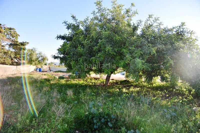 Foto f0e970e1-2a53-4b9f-b7c2-227d7e9622f0. Masia amb aparcament a La Pinilla - Las Palas Fuente Álamo de Murcia