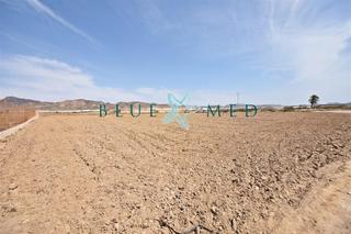 Rural plot in Pera ros sn. Terreno rústico en mazarrón