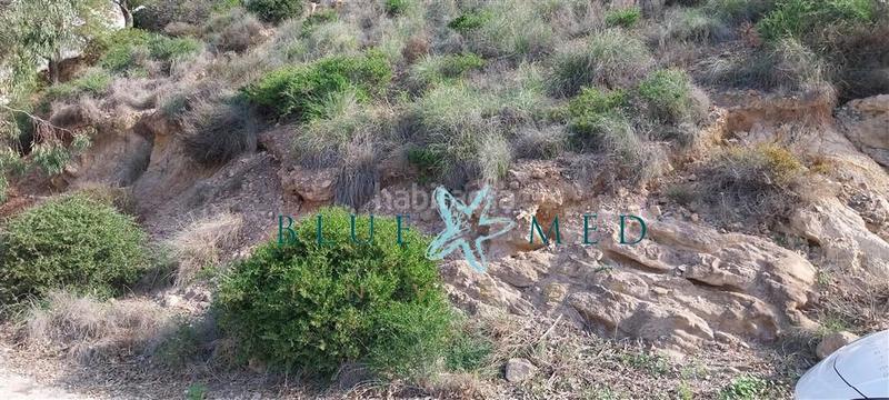 Foto d1a03891-26d2-40ec-bb54-80c6e2176ba4. Finca rústica a Bolnuevo Mazarrón