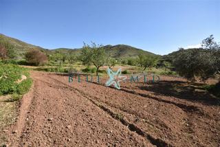 Finca rústica a Los Puertos. Parcela con agua en zona de belleza natural