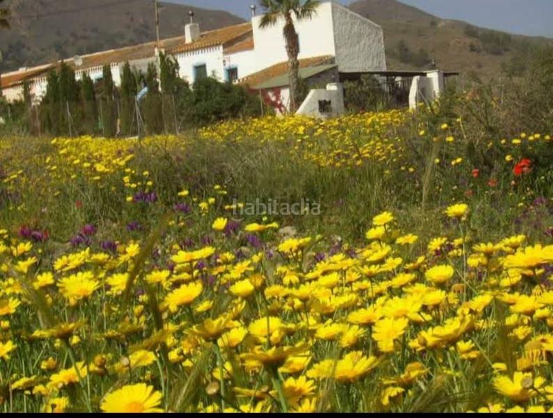 Foto ac159ed3-3de6-4dcb-b480-7923587b89bb. Haus mit heizung parking pool in Mazarrón casco urbano Mazarrón