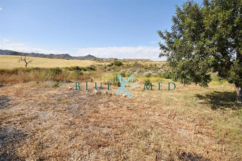 Foto eee5018d-4583-4568-a9df-60359d47a92f. Haus mit heizung parking pool in Mazarrón casco urbano Mazarrón