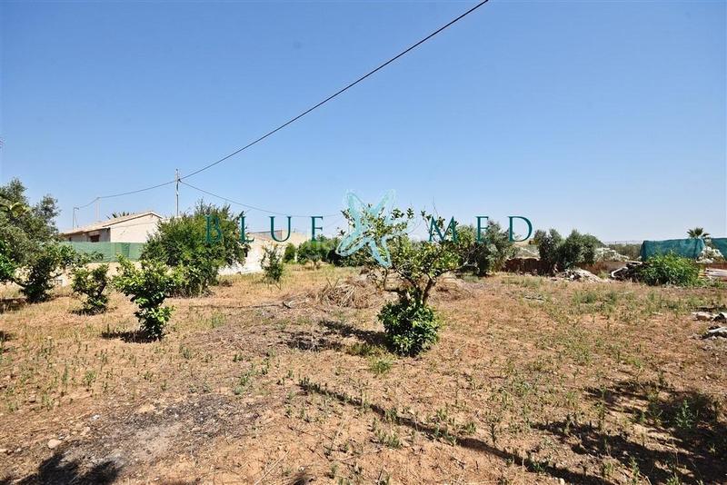 Foto d3e8cd35-ecf0-4f38-ae0a-78d4add64b8b. House with parking in La Pinilla - Las Palas Fuente Álamo de Murcia