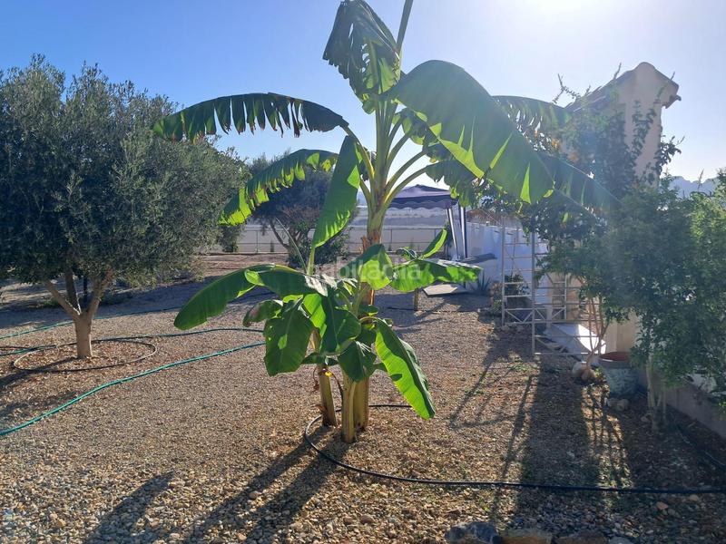 Foto 96459bec-dbb3-4e1c-b2d4-2a191958ba83. House with heating parking pool in Mazarrón casco urbano Mazarrón