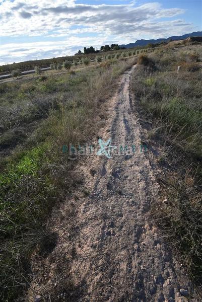 Foto 3ef67f8d-c39d-42b8-a2d6-c36b45f2d2f1. Propriété dans Totana