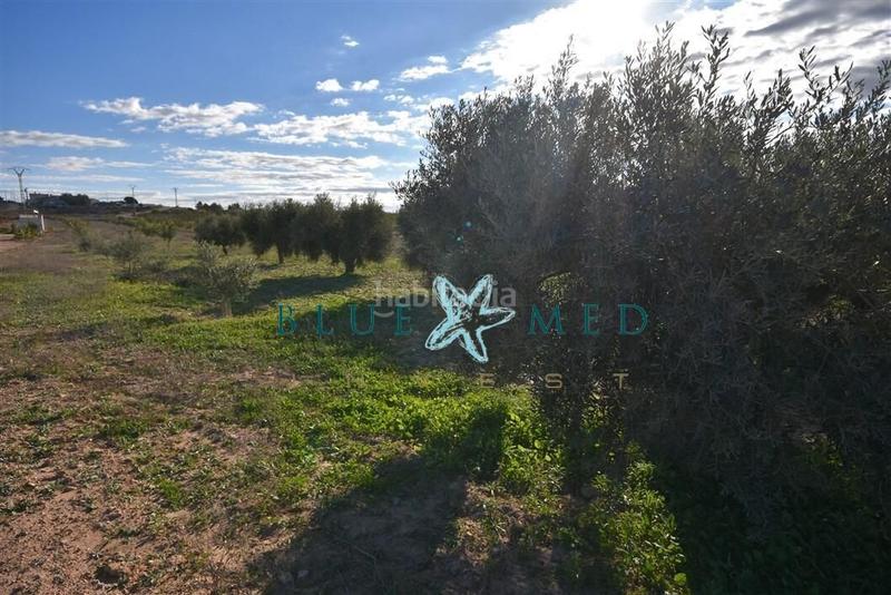 Foto 6e3ad44c-c716-45b5-91fd-b24e3455ccf3. Propriété dans Totana