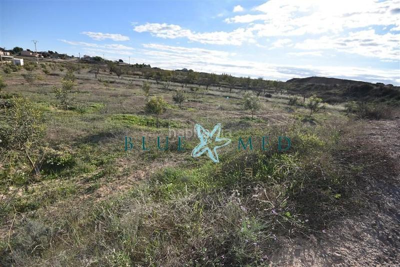 Foto 7c09f0d5-9fbc-4996-a900-e25b8c6b6f44. Propriété dans Totana