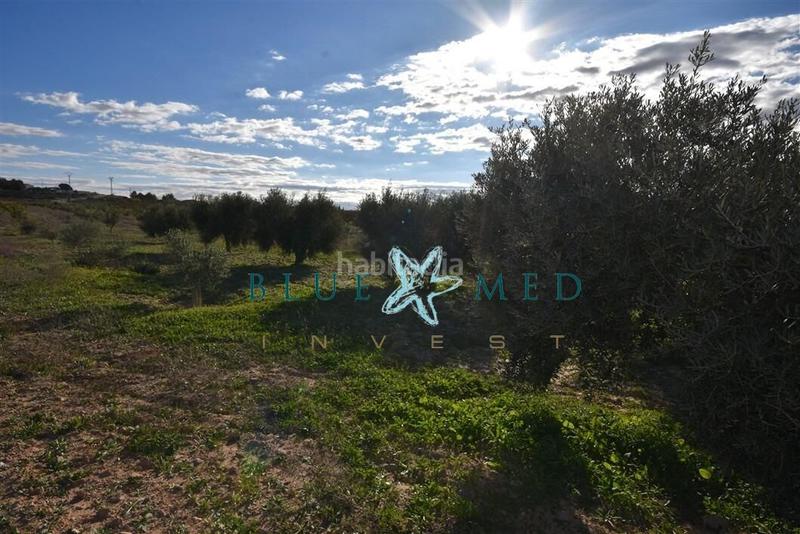 Foto cc121f36-3f75-4d40-9850-f2f5f7ea7369. Propriété dans Totana