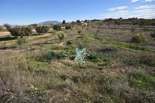 Rural plot  Carrer viña larga. Parcela en el corazón de el paretón.