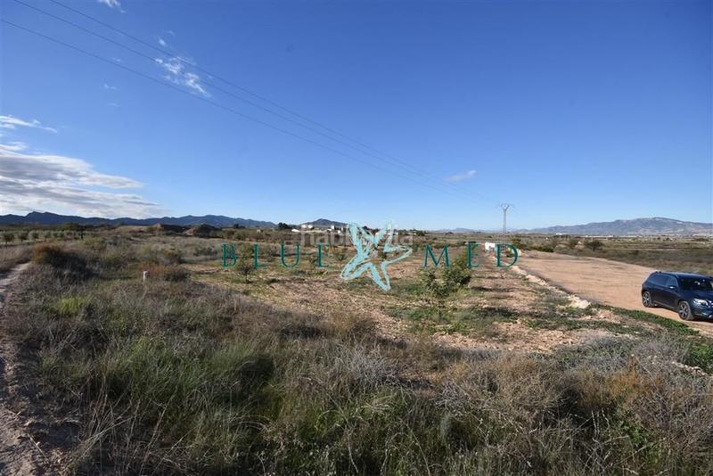 Foto e2ea521f-261e-494e-b6cb-86e2bbf4721f. Propriété dans Totana