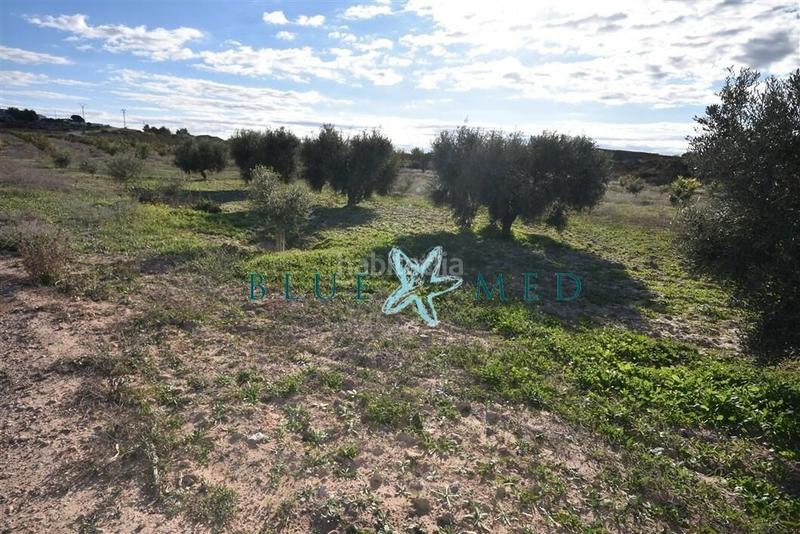 Foto f876fa5d-4b9b-4fcf-a077-2f5fff783f10. Propriété dans Totana