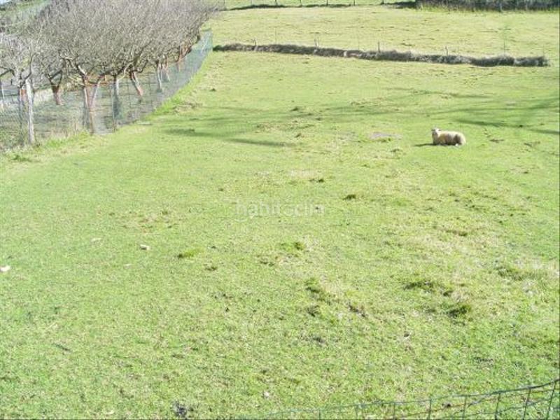 Foto bccc4746-4df9-49f6-9b34-a0f78b6557d3. Wohngrundstück in Parroquias Sur - La Manjoya Oviedo