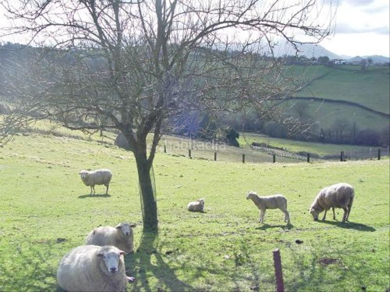 Foto dfe15d37-3272-4d2a-8e74-76b59dce8739. Wohngrundstück in Parroquias Sur - La Manjoya Oviedo