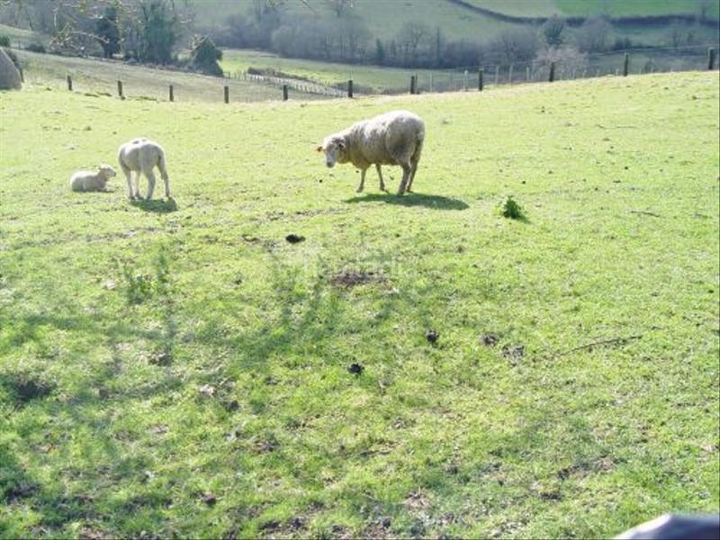 Foto fde67aca-5868-4a46-9a19-9983bb31cf40. Wohngrundstück in Parroquias Sur - La Manjoya Oviedo