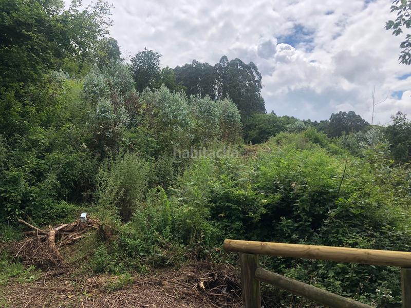 Foto 173e026d-2521-4e5a-8627-a2f31763a11c. Finca rústica terreno de unos 15.000m2, no urbanizable en Leorio en Gijón