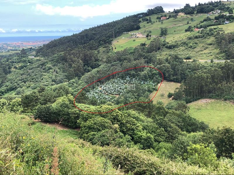 Foto 30aa428e-ef6c-493b-8f19-b6485e5198d8. Finca rústica terreno de unos 15.000m2, no urbanizable en Leorio en Gijón