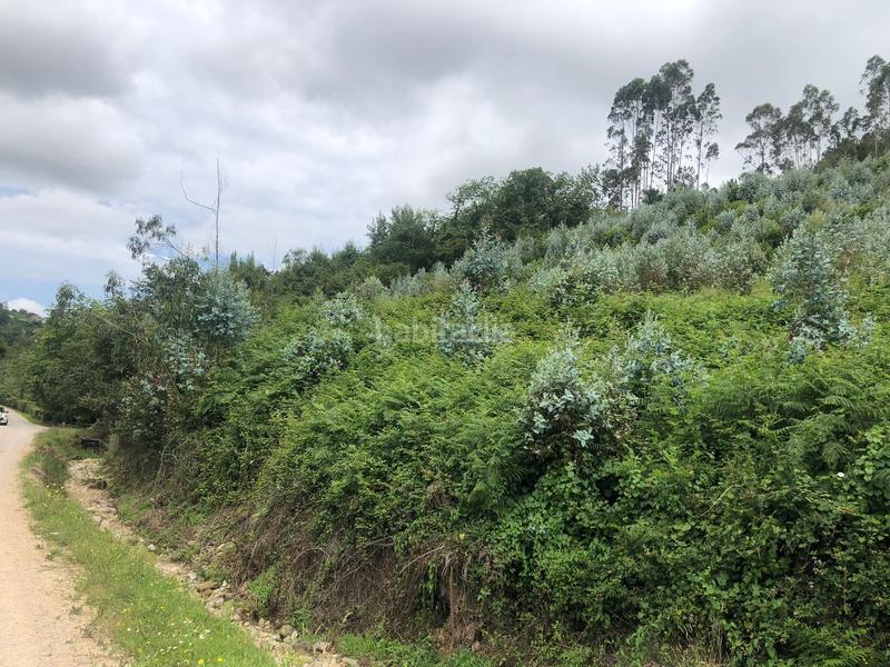 Foto 396528fa-af51-4948-bcce-3fc6db231c1a. Finca rústica terreno de unos 15.000m2, no urbanizable en Leorio en Gijón