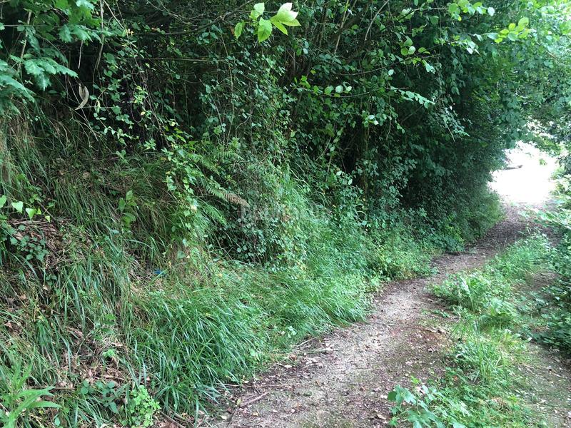 Foto 74fe9989-c022-464c-a689-04aa2e4fdbb3. Finca rústica terreno de unos 15.000m2, no urbanizable en Leorio en Gijón