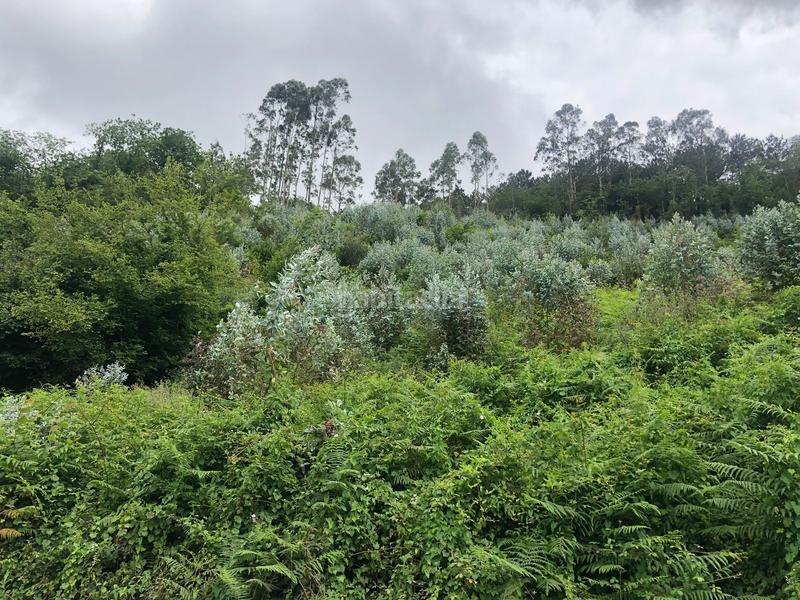 Foto 9c19378e-2bff-4bf0-b33f-5de808bc3b96. Finca rústica terreno de unos 15.000m2, no urbanizable en Leorio en Gijón