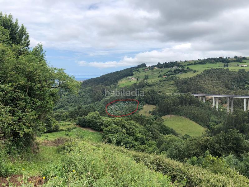 Foto 9c9e0a7d-326e-405b-88b9-4e17e816ce6c. Finca rústica terreno de unos 15.000m2, no urbanizable en Leorio en Gijón
