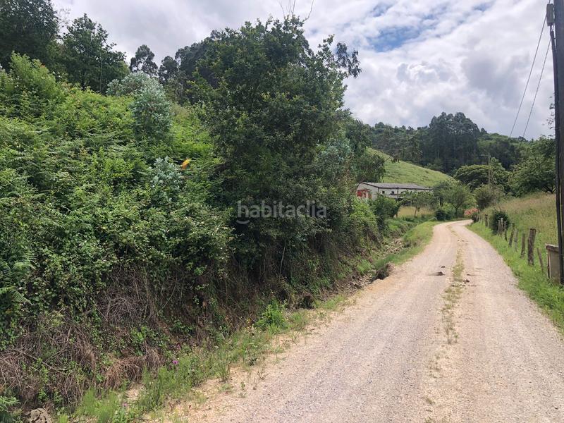 Foto b504a134-e7a1-49b9-ae15-290a2fa95c1e. Finca rústica terreno de unos 15.000m2, no urbanizable en Leorio en Gijón