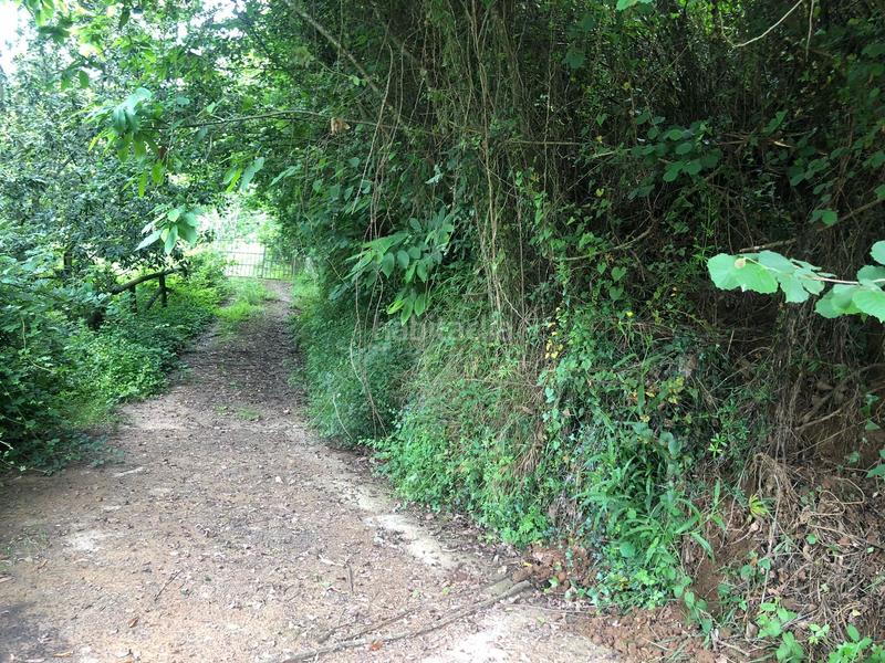 Foto c0086ede-7b8a-40a0-92a5-7a83c1ed107c. Finca rústica terreno de unos 15.000m2, no urbanizable en Leorio en Gijón