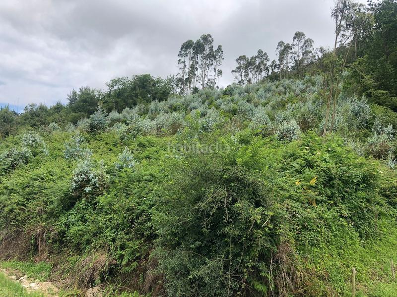 Foto d986799c-3ed0-4b76-ac4e-51f66191d738. Finca rústica terreno de unos 15.000m2, no urbanizable en Leorio en Gijón