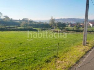 Foto 0fc513fa-6915-432b-b230-b3f0e7f6efd5. Terreny residencial a Llanera