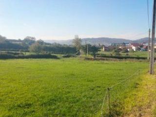 Terreny residencial a Llanera. "preciosa parcela edificable de 1500 m2 en cayés - llanera".
