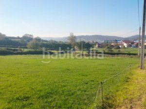 Foto 41812624-53f3-4f07-835a-38979fa12055. Terreny residencial a Llanera