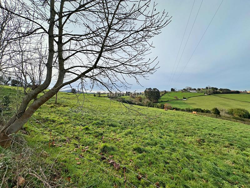 Foto 09706e05-e0ac-4891-b001-451cb8d3dbba. Terrain résidentiel dans Santurio Gijón