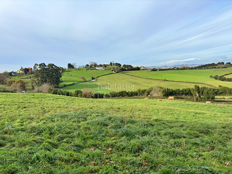 Foto 91ad7790-6eeb-4534-8437-5f335c80776f. Terrain résidentiel dans Santurio Gijón