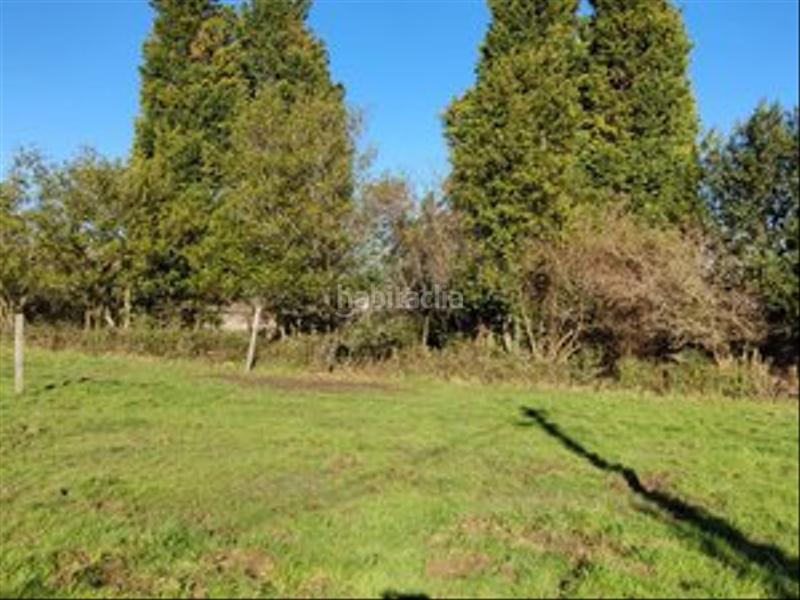 Foto d9d5c8fc-f1d9-46c0-b8ce-62c42eee5182. Residential plot in Somió Gijón