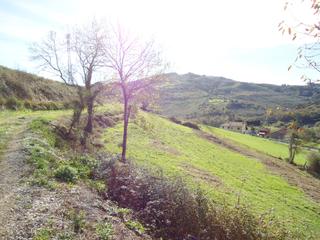 Wohngrundstück  Ll-9. "se vende finca edificable de 1360 m2 en villardeveyo - llanera"