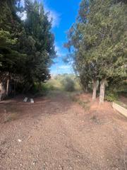 Rural plot in Almoster. Finca rustica totalmente plana en almoster
