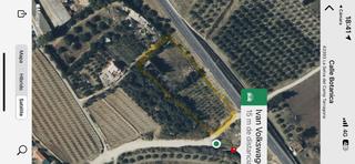 Rural plot in Almoster. Finca rustica totalmente plana en almoster