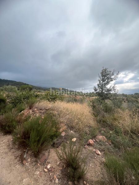 Foto 0c11fd5c-bd02-40c5-99d3-ad866f9830c4. Fondo rustico in Alforja