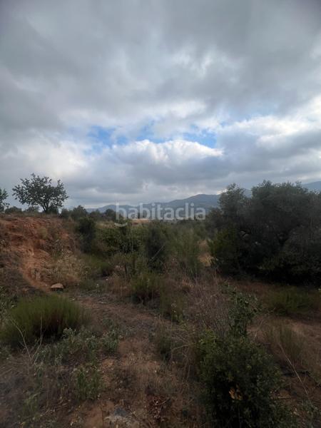 Foto 128e63f6-32fc-4889-8fe3-ad9138276a47. Fondo rustico in Alforja