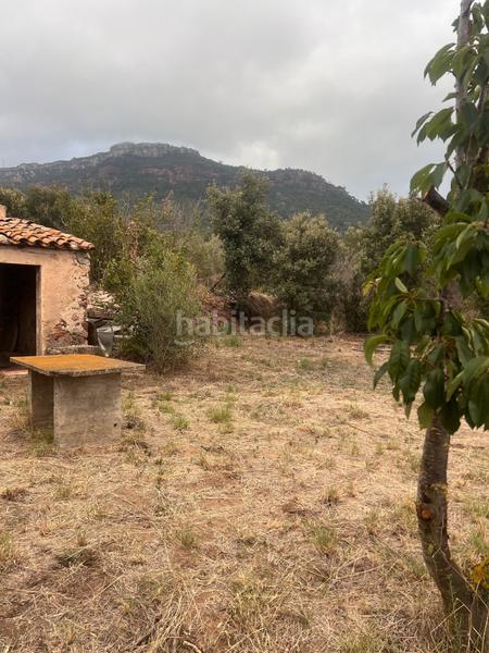 Foto 21742818-7b84-452b-9cc9-a03655f12ee1. Fondo rustico in Alforja