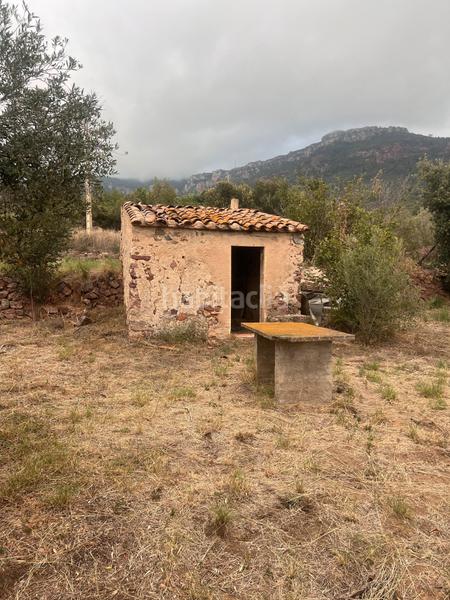 Foto 456acece-9a7f-4271-86ea-de9fa70b8fa4. Fondo rustico in Alforja