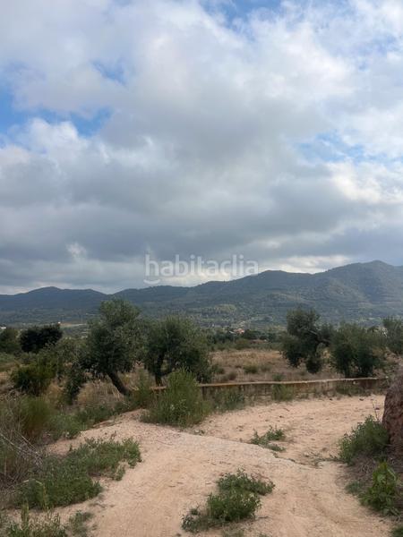 Foto 5aabe569-adbd-4702-96df-774845fe78fc. Fondo rustico in Alforja