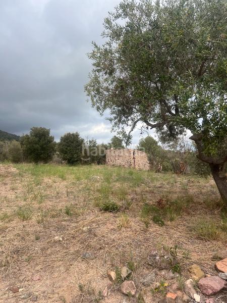 Foto 6c7d8fbd-7a26-42b1-98e9-39ca86312a05. Fondo rustico in Alforja