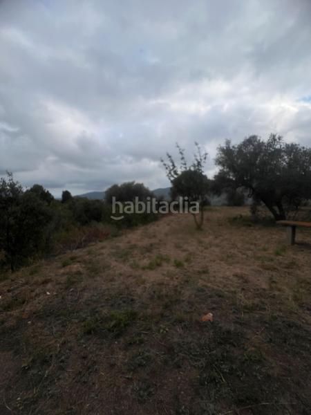 Foto 86bb3417-4047-4624-a38d-d02c49e7619e. Fondo rustico in Alforja