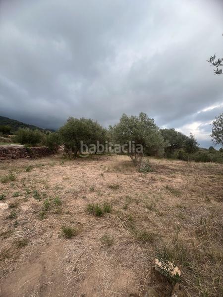 Foto c478668b-303f-4788-a763-fe2d9fa66cfe. Fondo rustico in Alforja