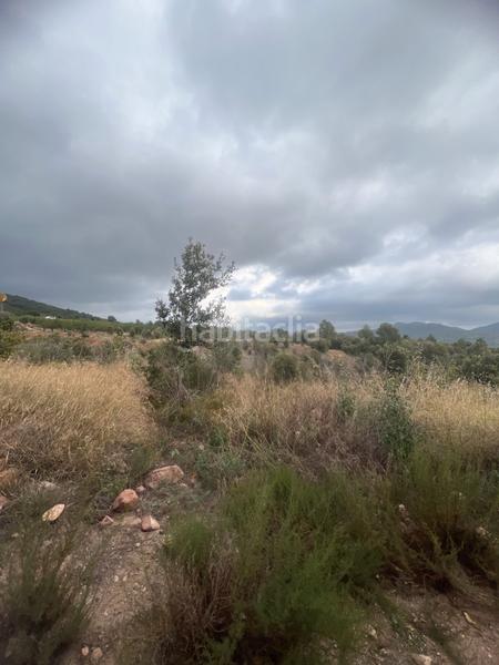 Foto df0d3151-74b0-4b1b-b73c-1a6a45bcc521. Fondo rustico in Alforja